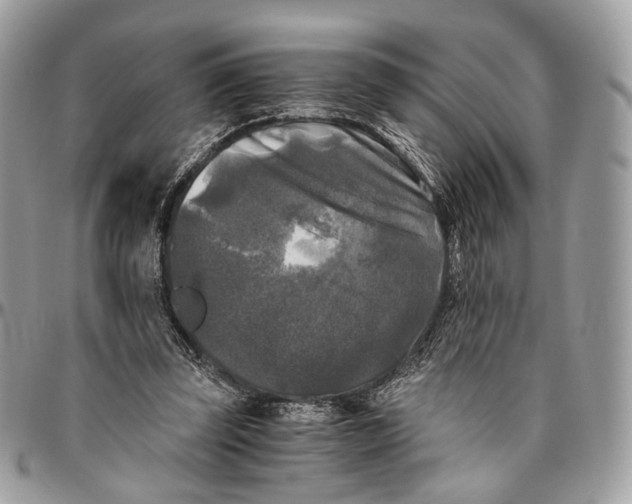 X0000096400347200802141524