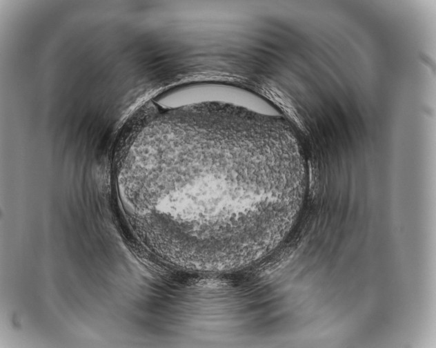 X0000096400348200802141524