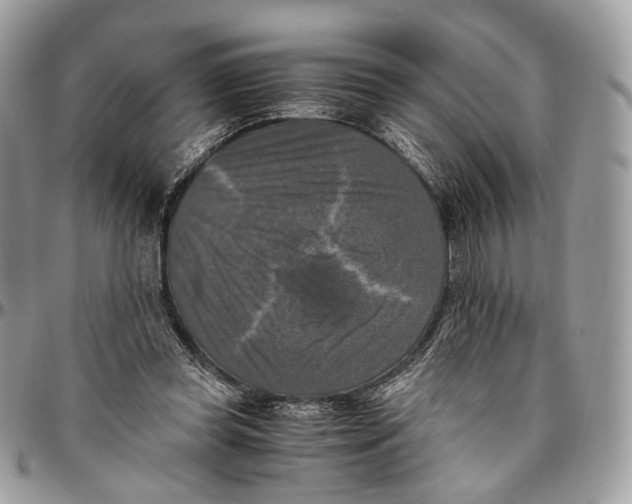 X0000096400349200802141524