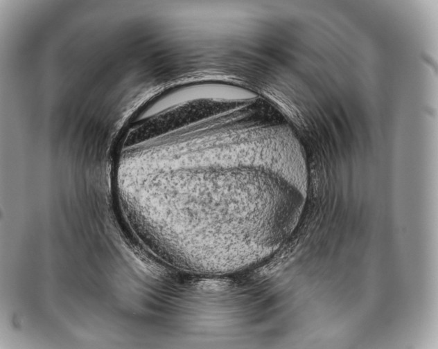 X0000096400350200802141524