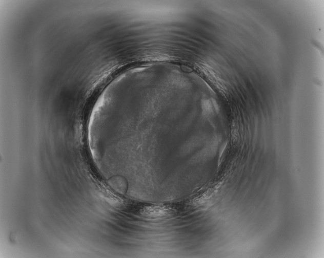 X0000096400351200802141524