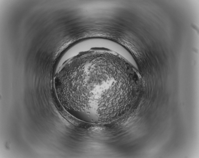 X0000096400352200802141524