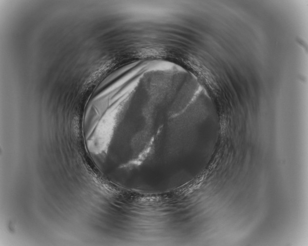 X0000096400353200802141524