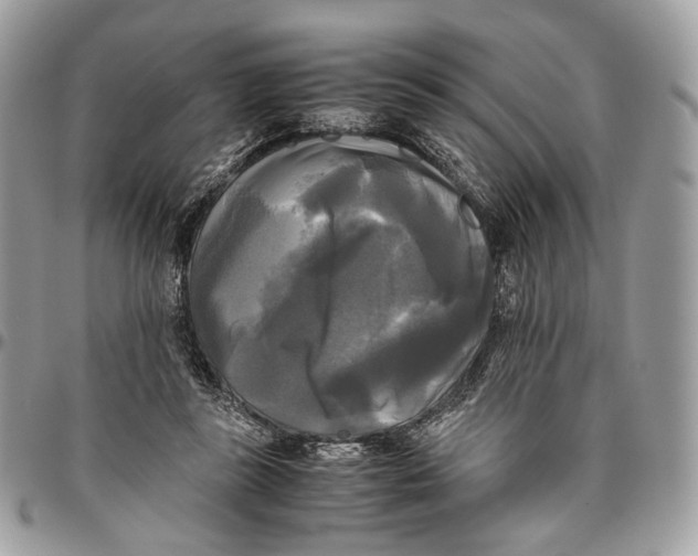 X0000096400355200802141524