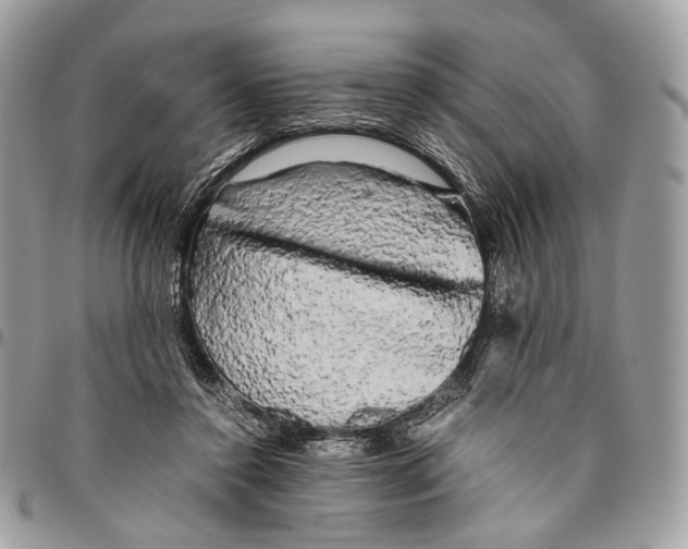 X0000096400356200802141524