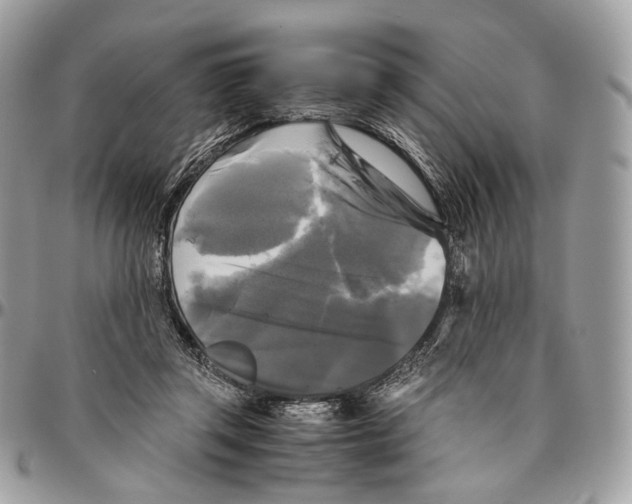 X0000096400357200802141524