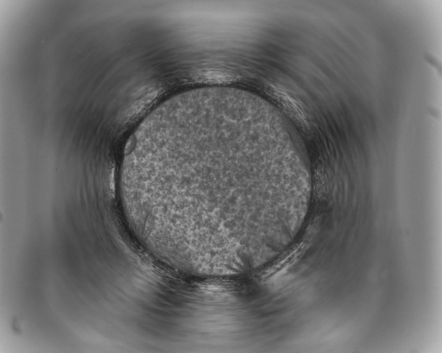 X0000096400358200802141524