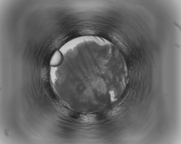 X0000096400359200802141524