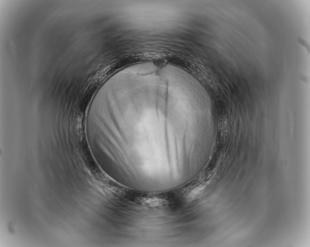 X0000096400360200802141524