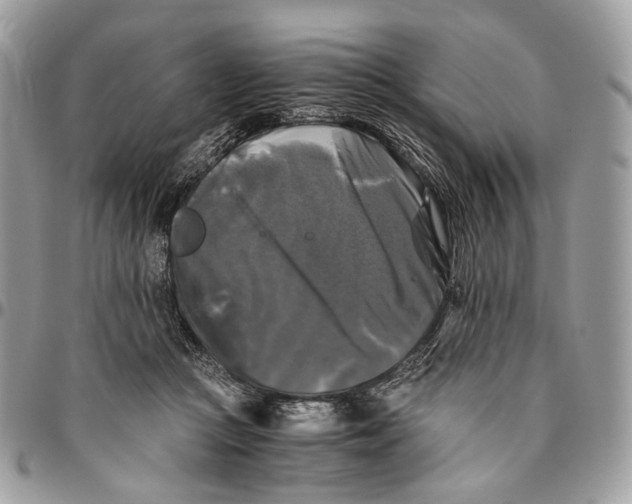 X0000096400361200802141524