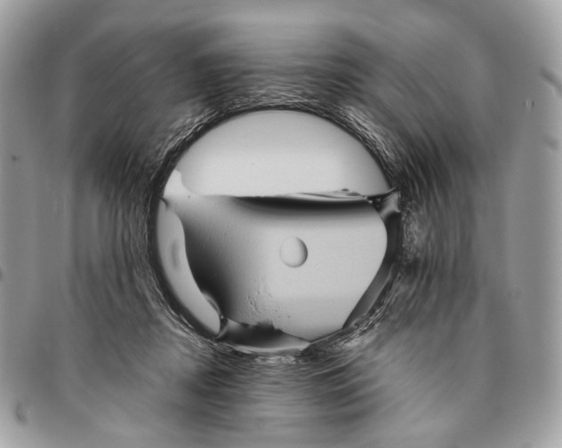 X0000096400362200802141524