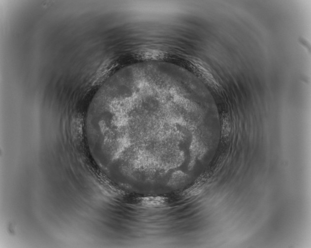 X0000096400363200802141524