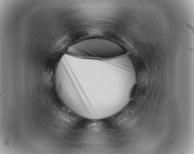 X0000096400364200802141524