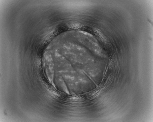 X0000096400365200802141524