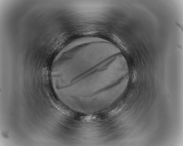 X0000096400366200802141524