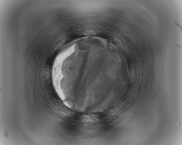 X0000096400367200802141524