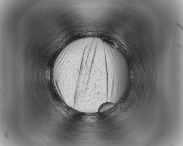 X0000096400368200802141524