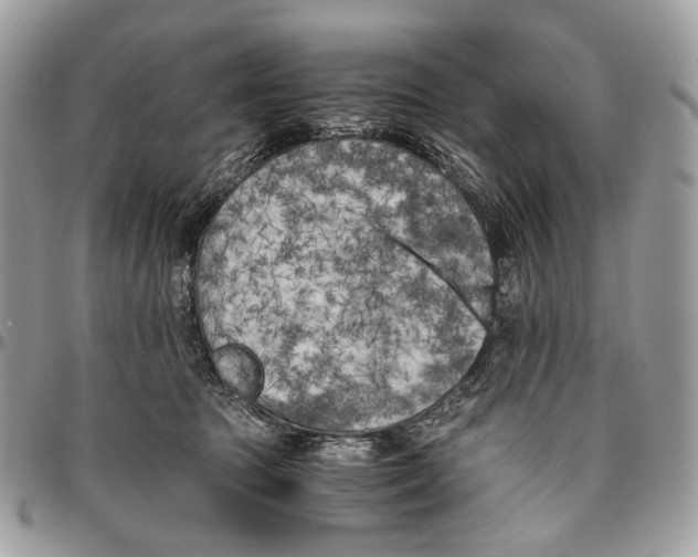 X0000096400369200802141524