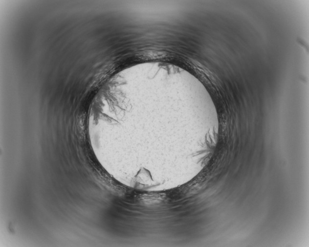 X0000096400373200802141524