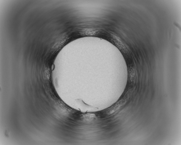 X0000096400374200802141524