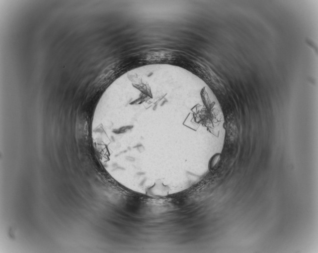 X0000096400375200802141524