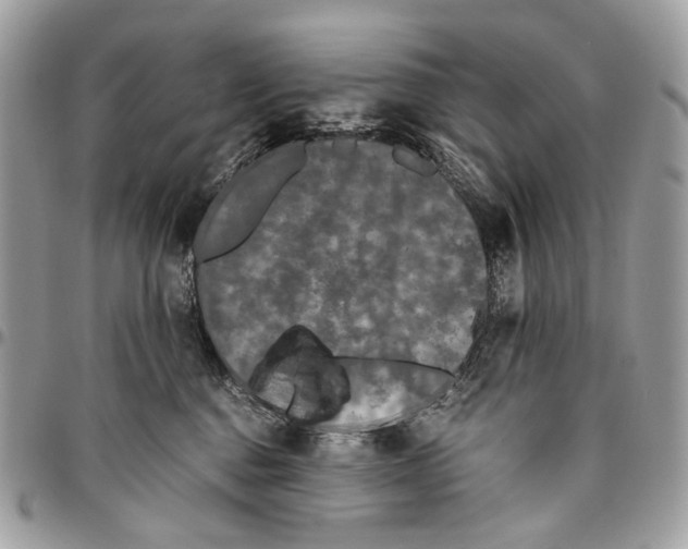 X0000096400376200802141524