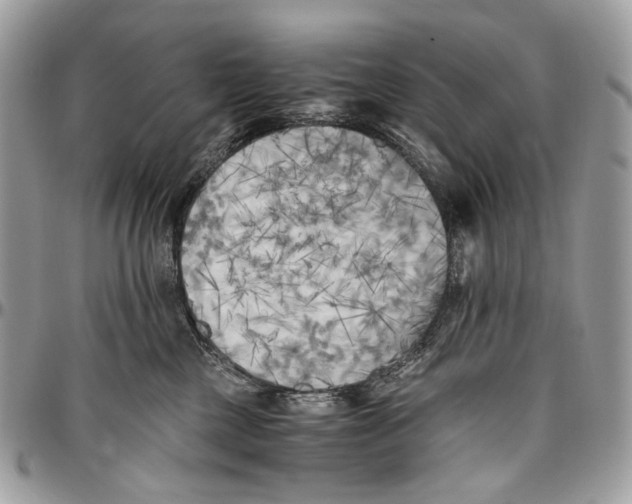 X0000096400377200802141524