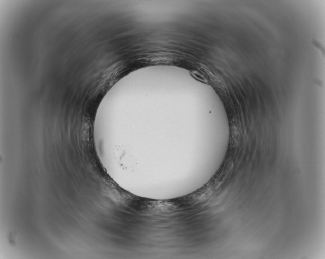 X0000096400379200802141524