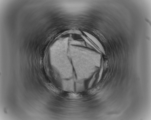 X0000096400380200802141524