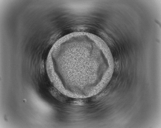 X0000096400381200802141524