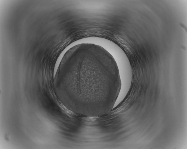 X0000096400382200802141524