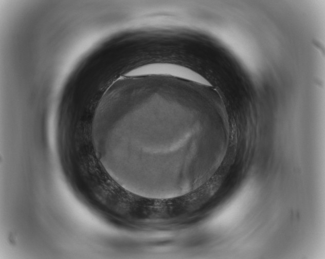 X0000096400383200802141524