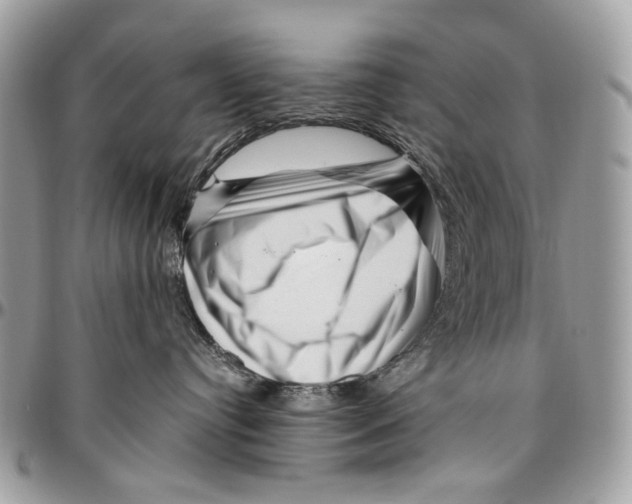 X0000096400384200802141524