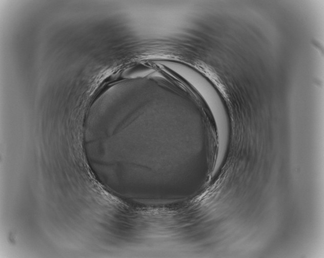 X0000096400385200802141523