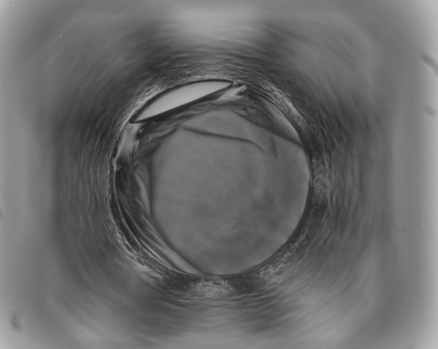 X0000096400386200802141523