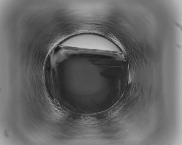 X0000096400387200802141523