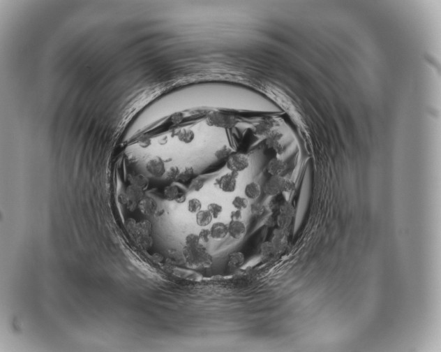 X0000096400389200802141523