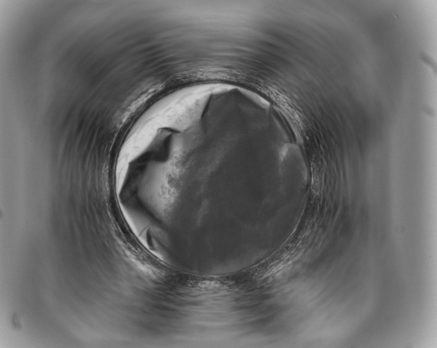 X0000096400390200802141523