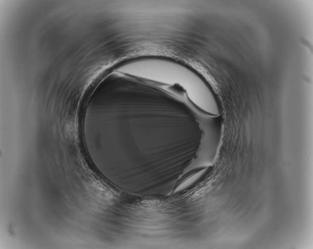 X0000096400391200802141523