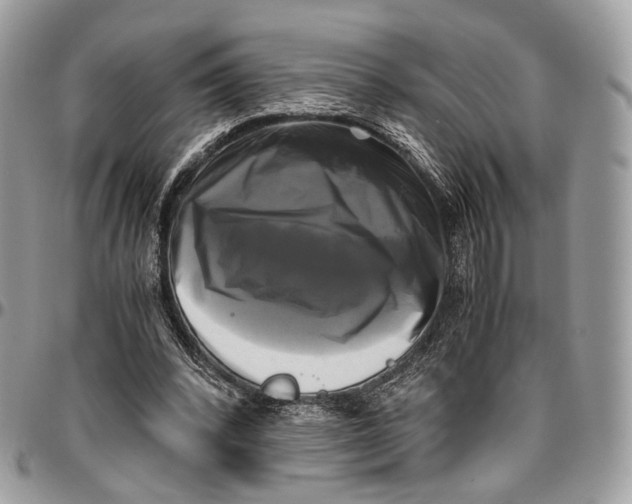 X0000096400392200802141523