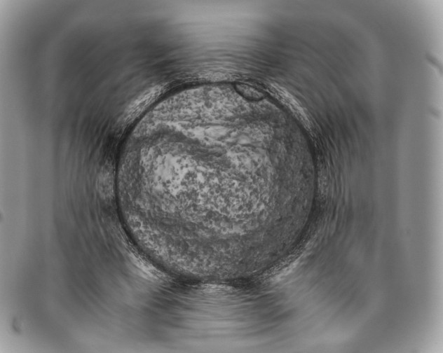 X0000096400393200802141523