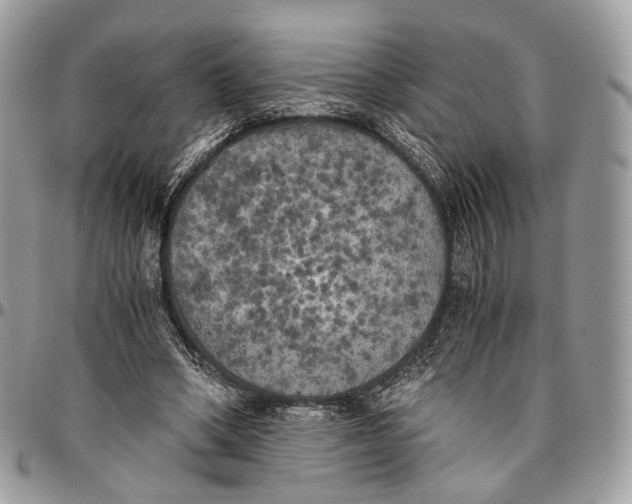 X0000096400394200802141523