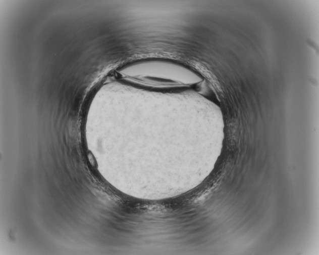 X0000096400395200802141523