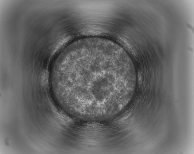 X0000096400396200802141523