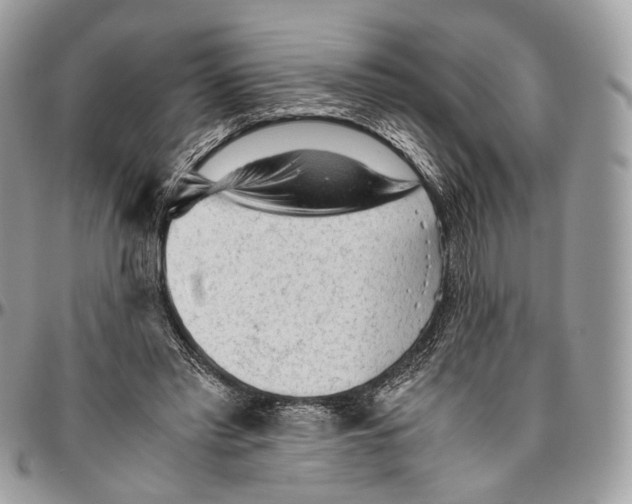 X0000096400397200802141523