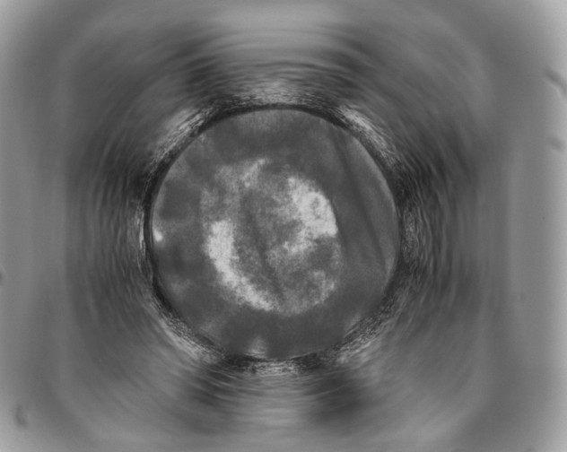 X0000096400398200802141523