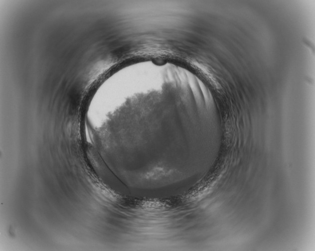 X0000096400399200802141523