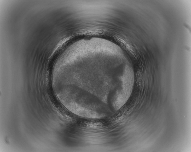 X0000096400400200802141523