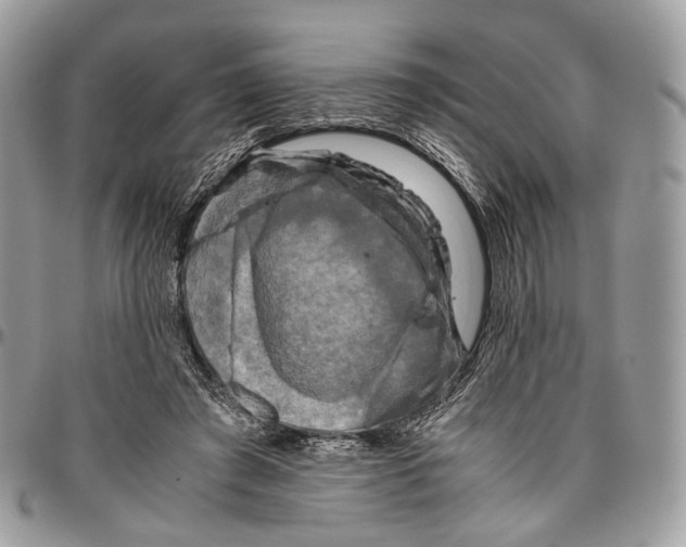 X0000096400401200802141523