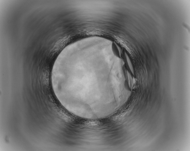 X0000096400402200802141523